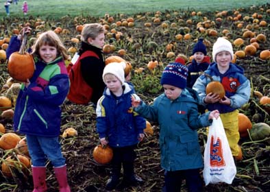 Daycare_Pumpkins